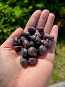 Garnet Tumbled | 1 lb | Brazil | .5"-.75"