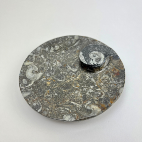 Fossil Round Dish | 100mm | Morocco