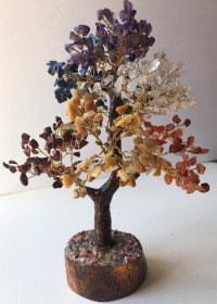 Seven Chakra Gemstone Money Tree (500 chip Tree)