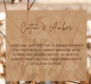 Amber Cotton Body Butter